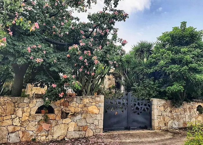 B&B Chorisia