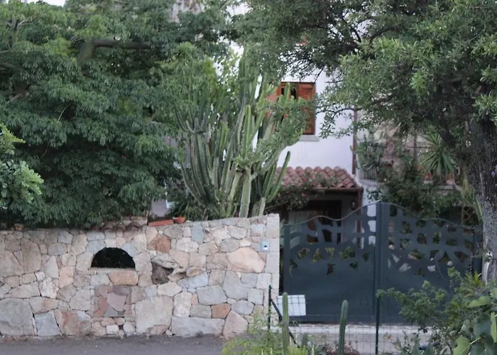 B&B Chorisia