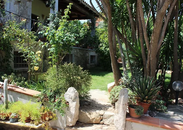 B&B Chorisia