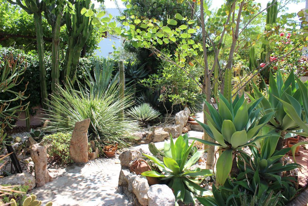 Bed & Breakfast Chorisia