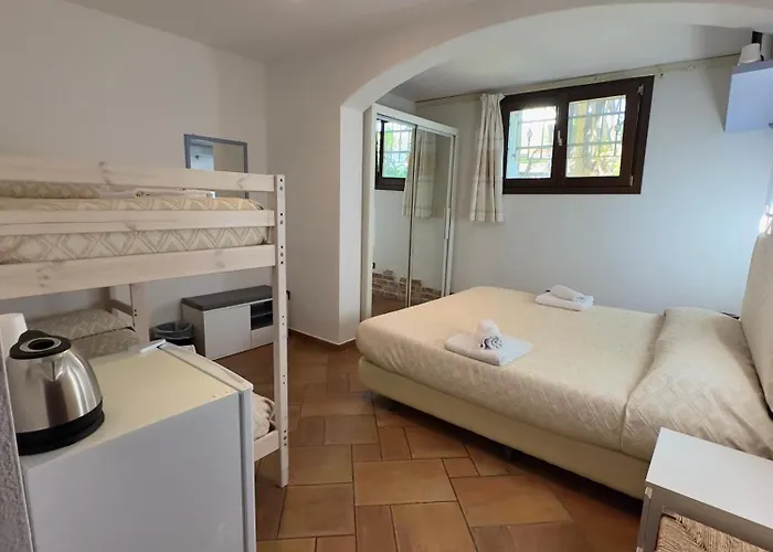 B&B Chorisia