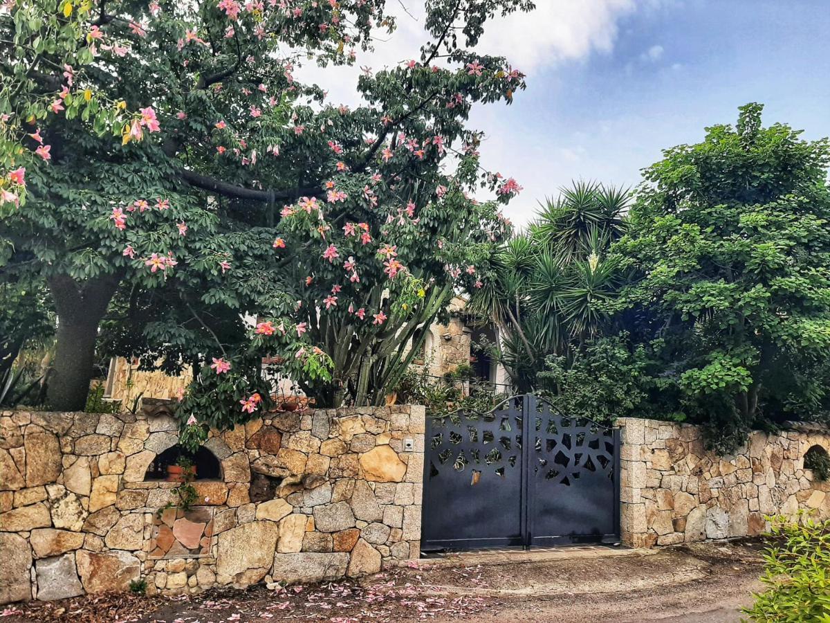 Chorisia Bed & Breakfast *