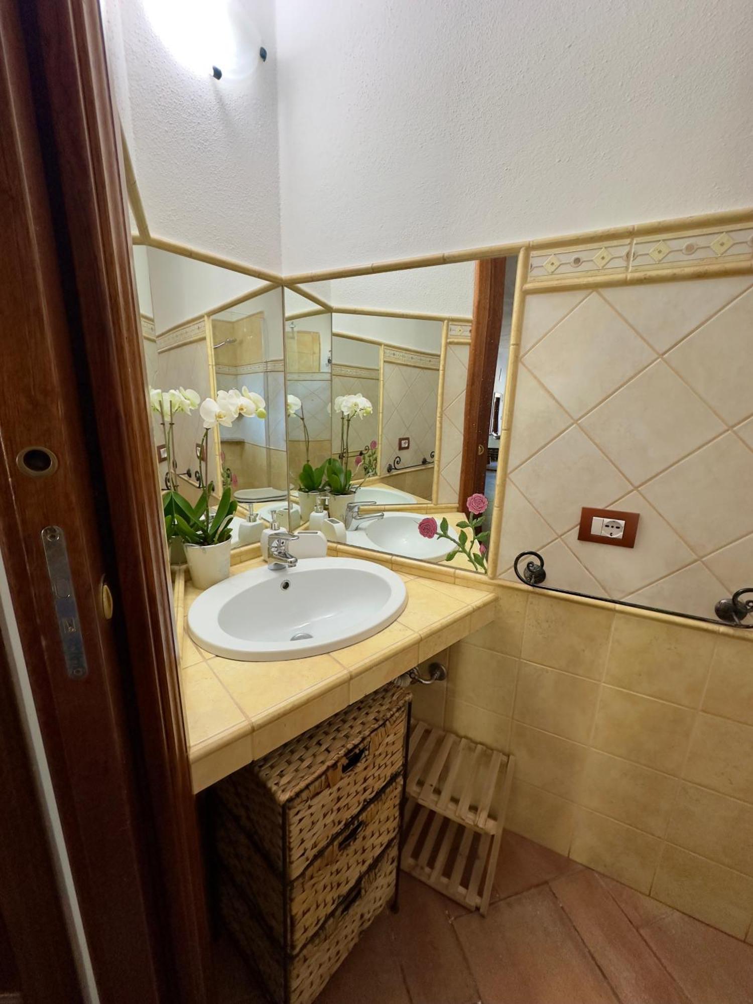Bed & Breakfast Chorisia *